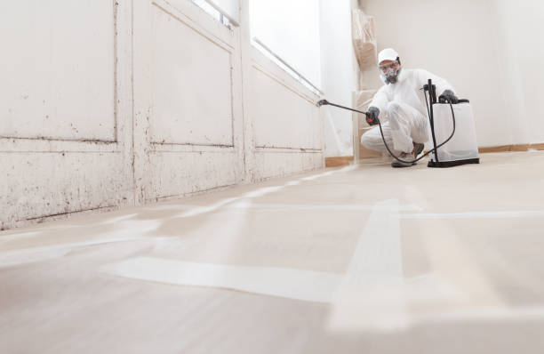 24/7 Emergency Attic Mold Remediation experts in White Post, VA